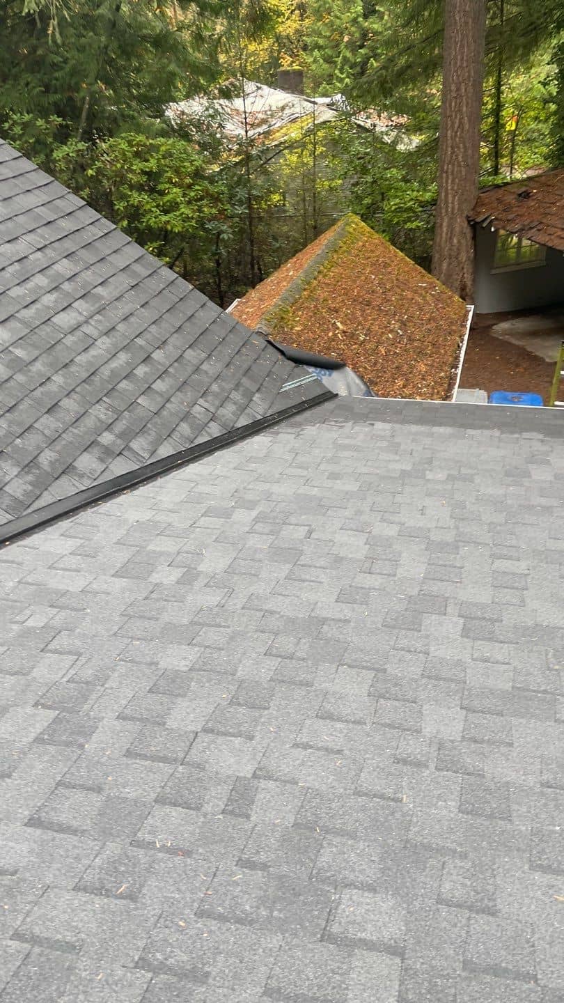 Roof Replacement Lake Forest Park Blue & Blue Roofing