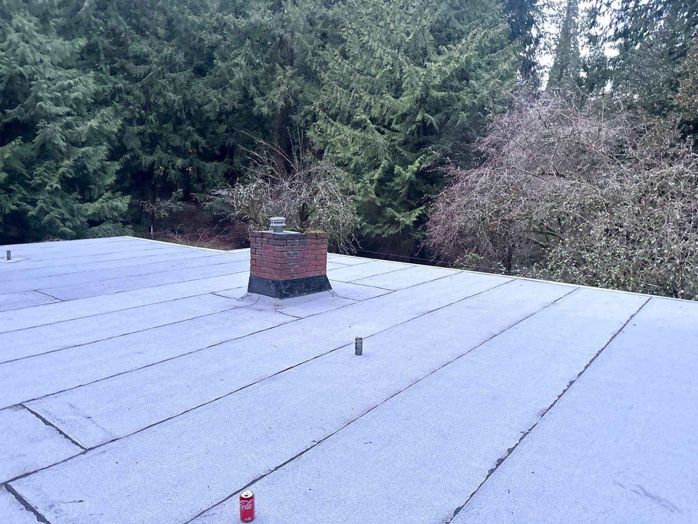 Roof Replacement Lake Forest Park Blue & Blue Roofing